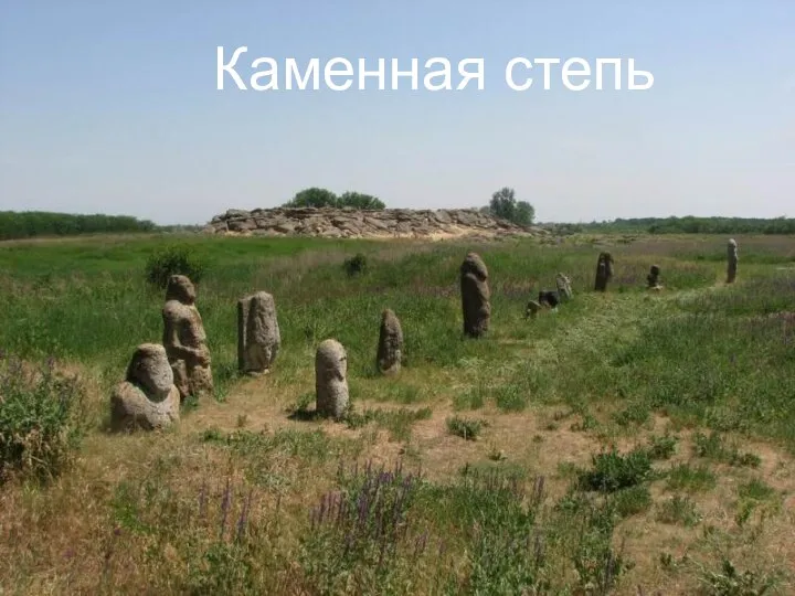 Каменная степь