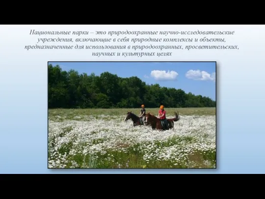 Национальные парки – это природоохранные научно-исследовательские учреждения, включающие в себя природные