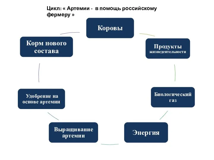 Цикл: « Артемии - в помощь российскому фермеру »