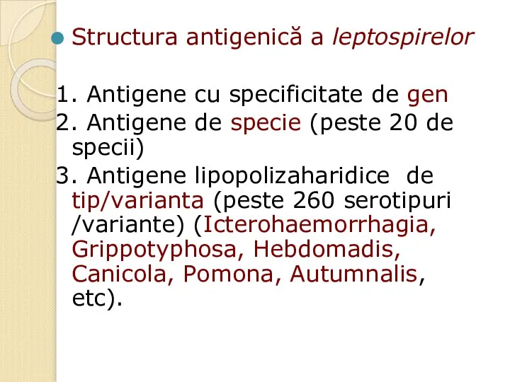 Structura antigenică a leptospirelor 1. Antigene cu specificitate de gen 2.