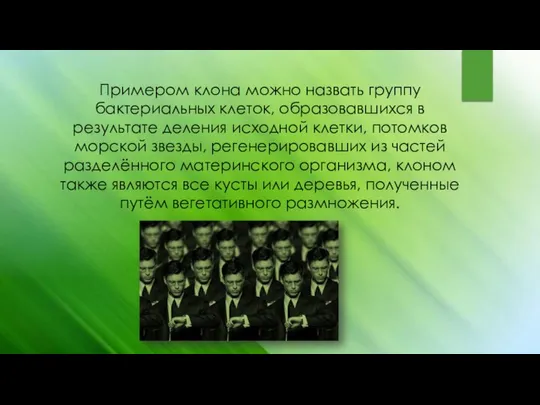 Примером клона можно назвать группу бактериальных клеток, образовавшихся в результате деления