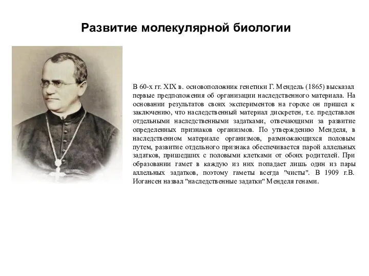 Развитие молекулярной биологии В 60-х гг. XIX в. основоположник генетики Г.