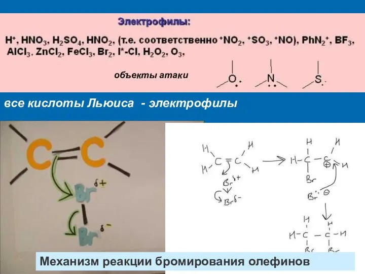 все кислоты Льюиса - электрофилы объекты атаки Механизм реакции бромирования олефинов