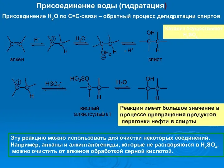 Присоединение воды (гидратация) Присоединение Н2О по С=С-связи – обратный процесс дегидратации