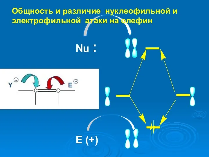 Nu : E (+) Общность и различие нуклеофильной и электрофильной атаки на олефин