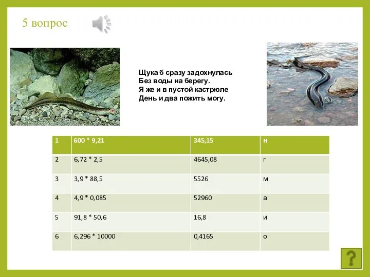 5 вопрос Щука б сразу задохнулась Без воды на берегу. Я