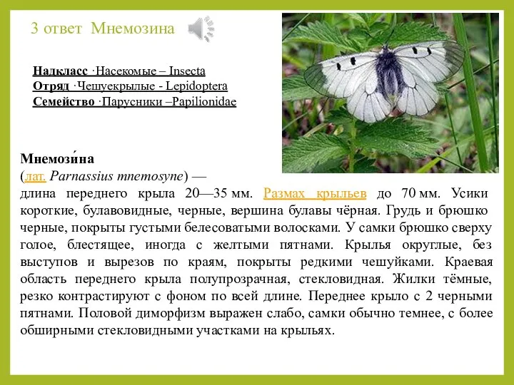 3 ответ Мнемозина Мнемози́на (лат. Parnassius mnemosyne) — длина переднего крыла