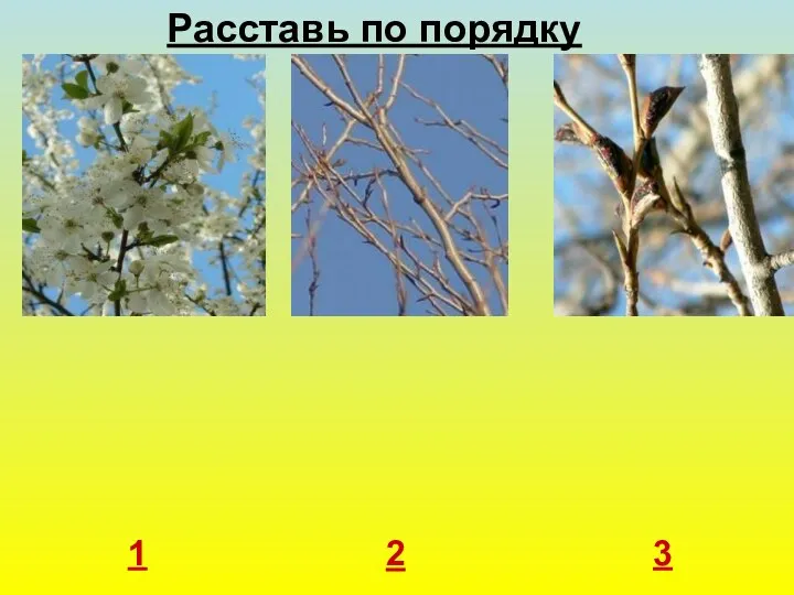 1 2 3 Расставь по порядку