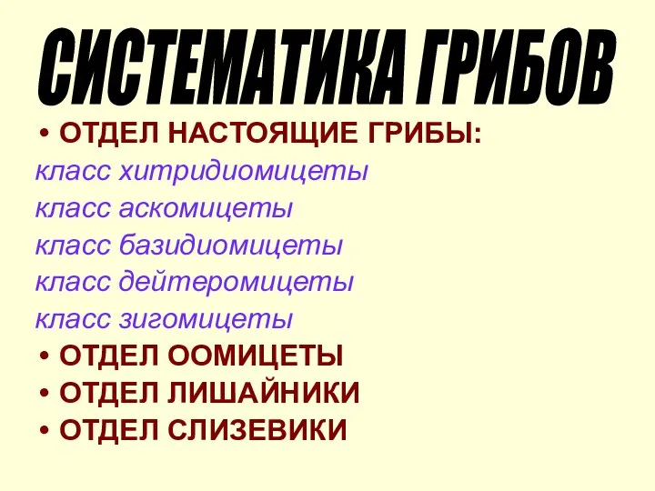 ОТДЕЛ НАСТОЯЩИЕ ГРИБЫ: класс хитридиомицеты класс аскомицеты класс базидиомицеты класс дейтеромицеты