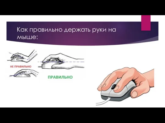 Как правильно держать руки на мыше: