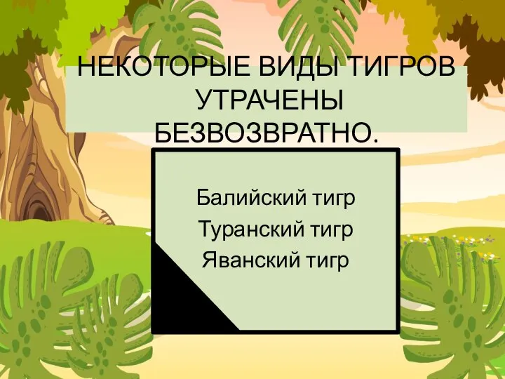 НЕКОТОРЫЕ ВИДЫ ТИГРОВ УТРАЧЕНЫ БЕЗВОЗВРАТНО. Балийский тигр Туранский тигр Яванский тигр