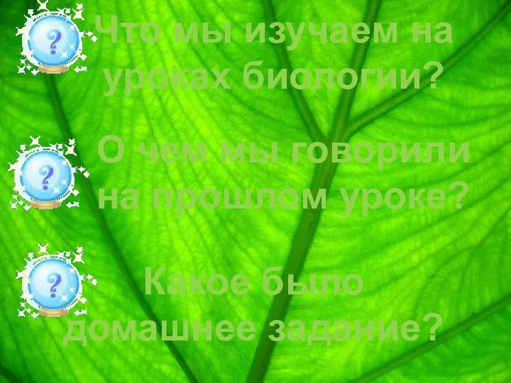 Какое было домашнее задание? Что мы изучаем на уроках биологии? О