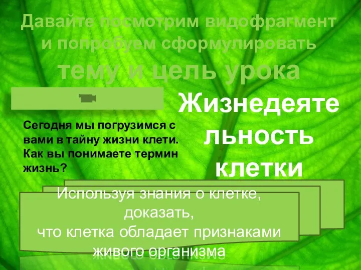 Давайте посмотрим видофрагмент и попробуем сформулировать тему и цель урока Жизнедеятельность