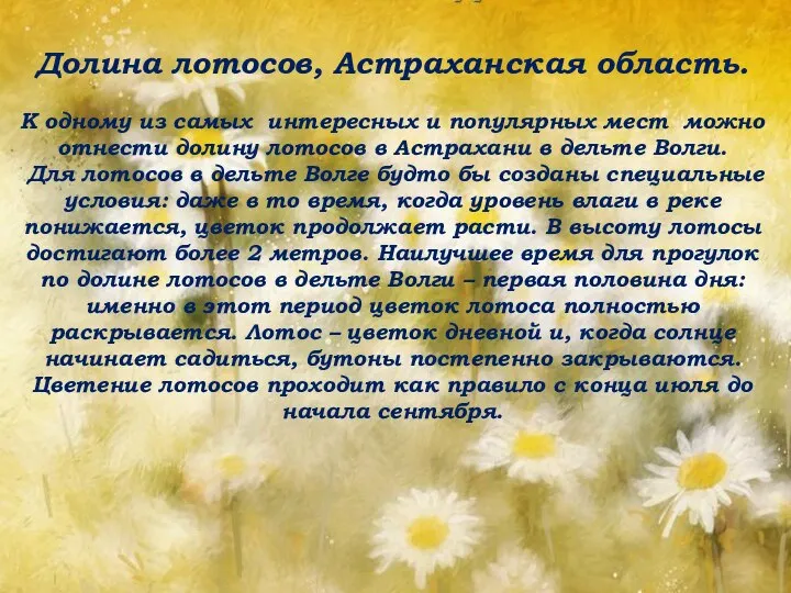 Долина лотосов, Астраханская область. К одному из самых интересных и популярных