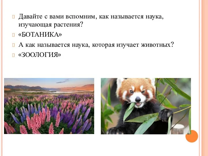 Давайте с вами вспомним, как называется наука, изучающая растения? «БОТАНИКА» А