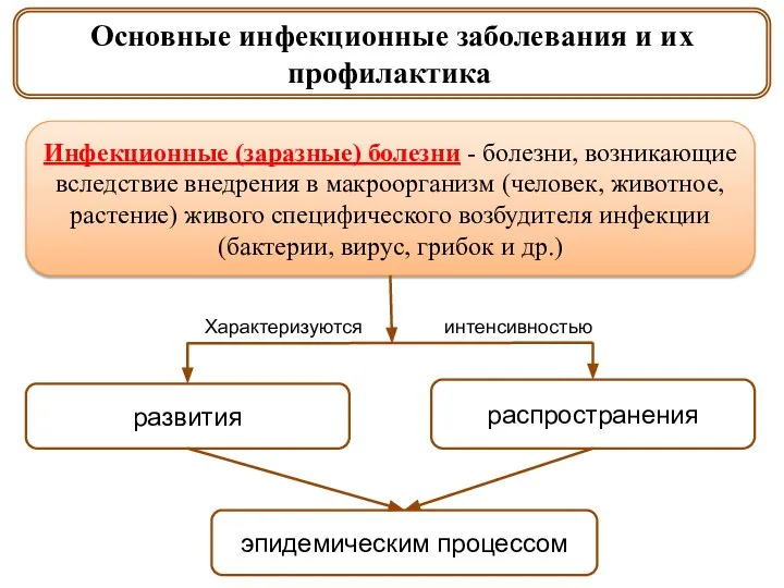 Основные инфекционные заболевания и их профилактика. Инфекционные (заразные) болезни - болезни,