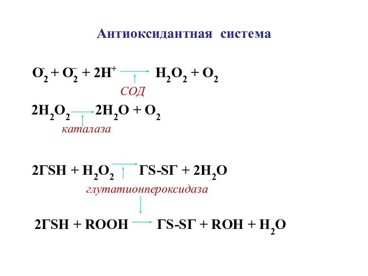 Антиоксидантная система О2 + О2 + 2Н+ Н2О2 + О2 СОД