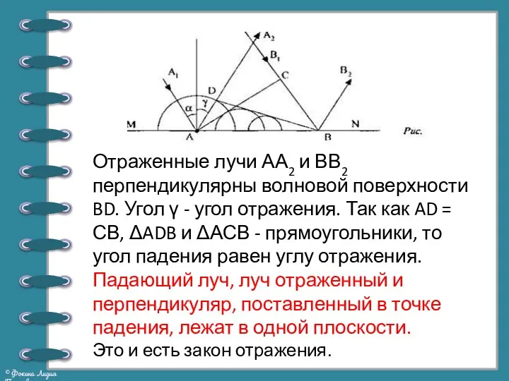 Отраженные лучи АА2 и ВВ2 перпендикулярны волновой поверхности BD. Угол γ