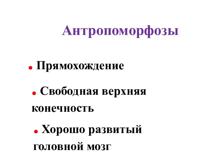 Антропоморфозы . Прямохождение . Свободная верхняя конечность . Хорошо развитый головной мозг