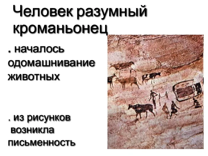 Человек разумный кроманьонец . началось одомашнивание животных . из рисунков возникла письменность .