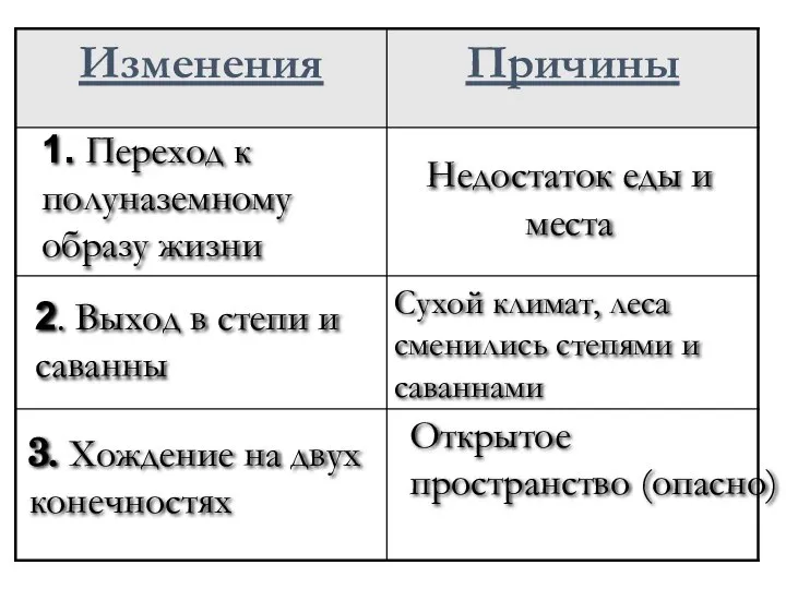 Недостаток еды и места 1. Переход к полуназемному образу жизни 2.