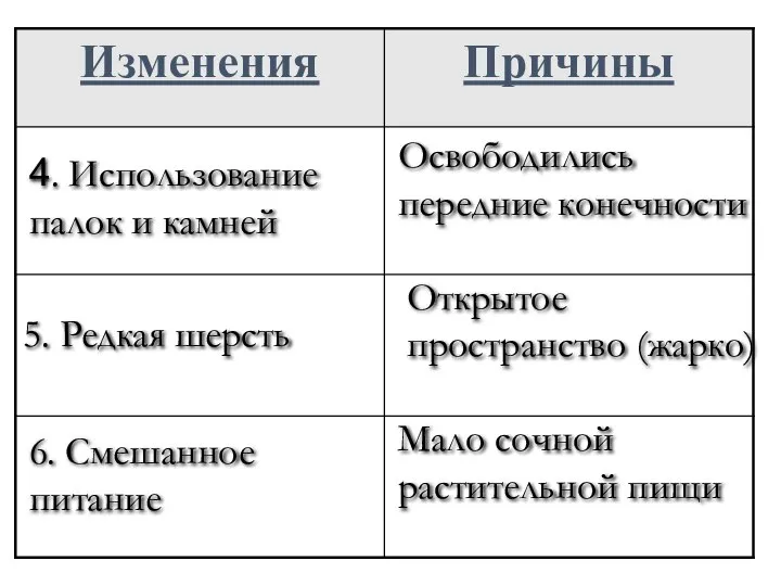 Освободились передние конечности 4. Использование палок и камней 5. Редкая шерсть