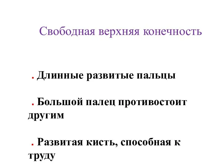 Свободная верхняя конечность . Длинные развитые пальцы . Большой палец противостоит