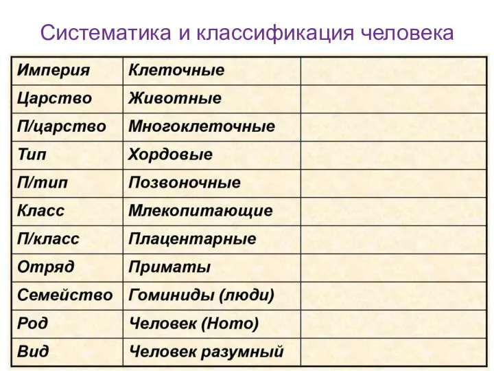 Систематика и классификация человека