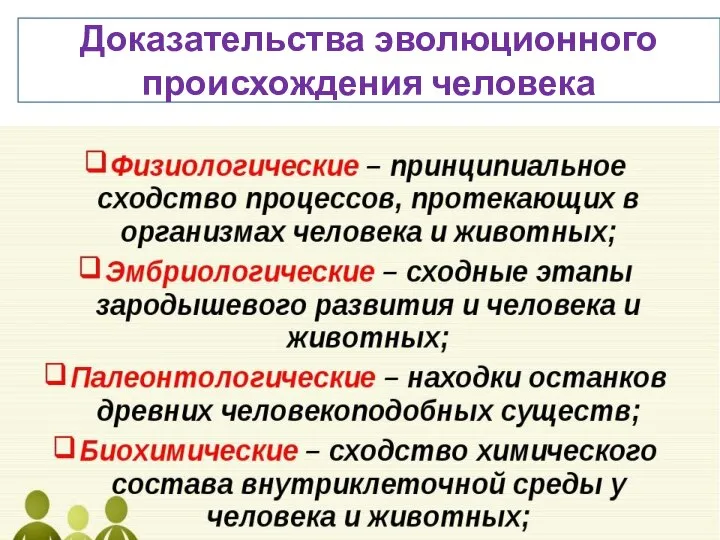 Доказательства эволюционного происхождения человека