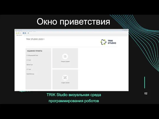 ТRIK Studio визуальная среда программирования роботов НАУЧНЫЕ И РАЗВЛЕКАТЕЛЬНЫЕ ЦЕЛИ