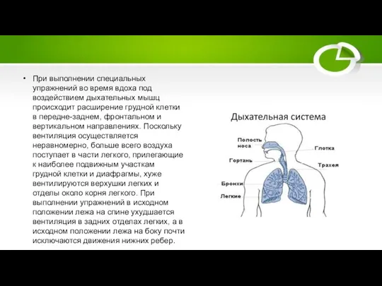 При выполнении специальных упражнений во время вдоха под воздействием дыхательных мышц