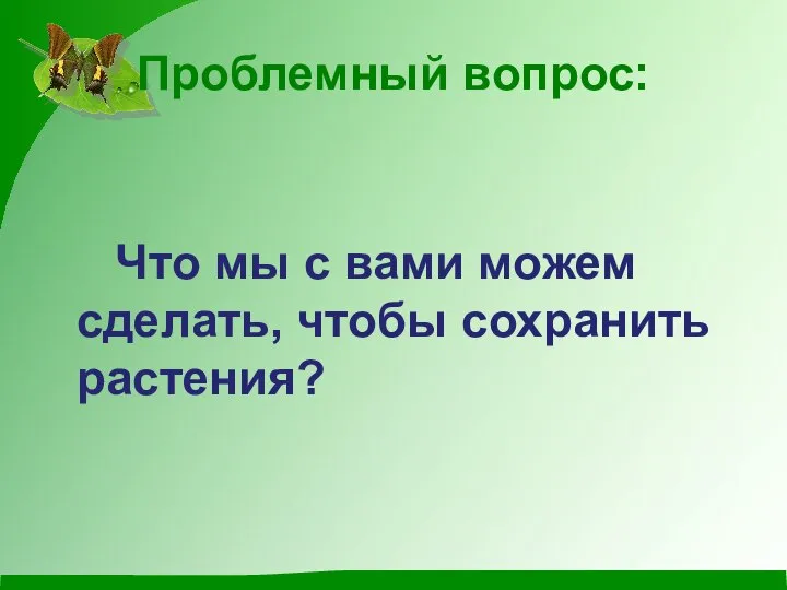 Проблемный вопрос: Что мы с вами можем сделать, чтобы сохранить растения?