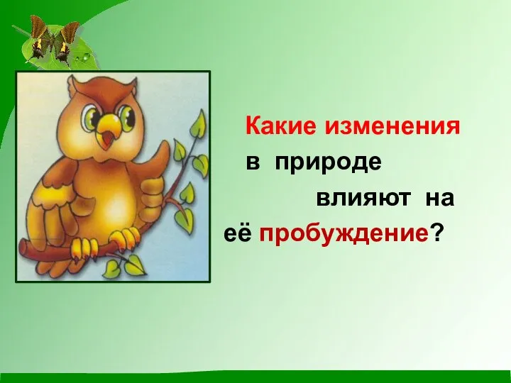 Какие изменения в природе влияют на её пробуждение?