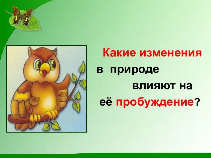 Какие изменения в природе влияют на её пробуждение?