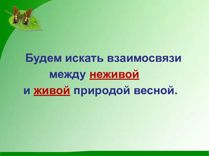 Будем искать взаимосвязи между неживой и живой природой весной.