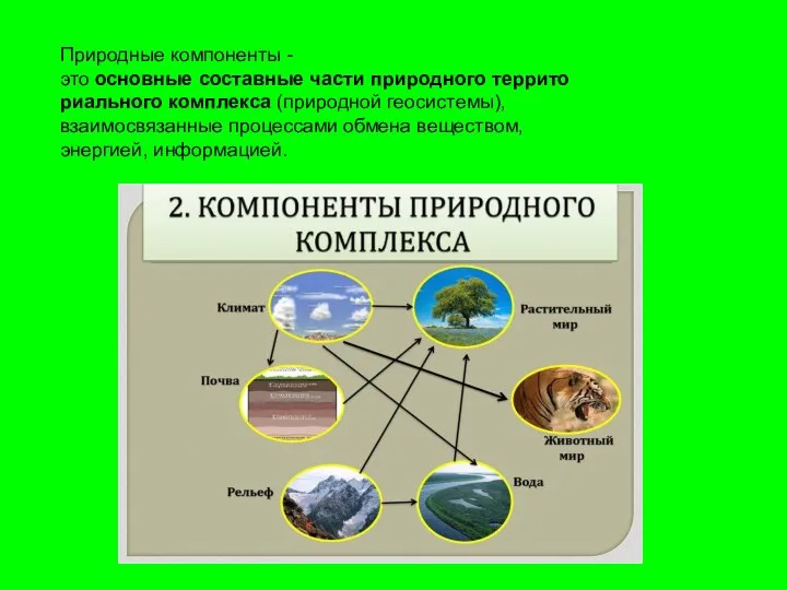 Природные компоненты - это основные составные части природного территориального комплекса (природной