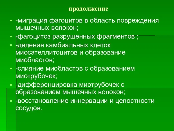 продолжение -миграция фагоцитов в область повреждения мышечных волокон; -фагоцитоз разрушенных фрагментов