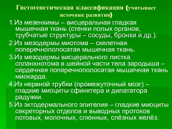 Гистогенетическая классификация (учитывает источник развития) 1.Из мезенхимы – висцеральная гладкая мышечная