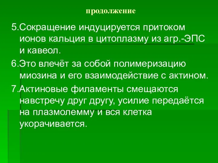 продолжение 5.Сокращение индуцируется притоком ионов кальция в цитоплазму из агр.-ЭПС и