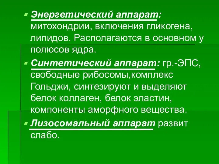 Энергетический аппарат: митохондрии, включения гликогена, липидов. Располагаются в основном у полюсов