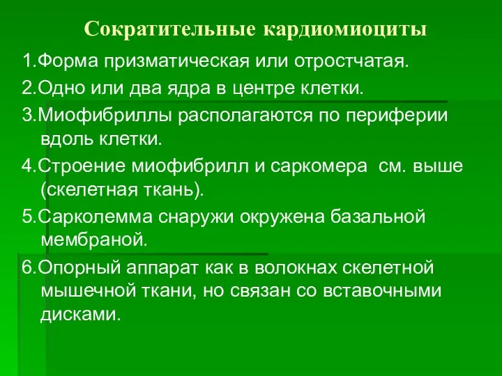 Сократительные кардиомиоциты 1.Форма призматическая или отростчатая. 2.Одно или два ядра в