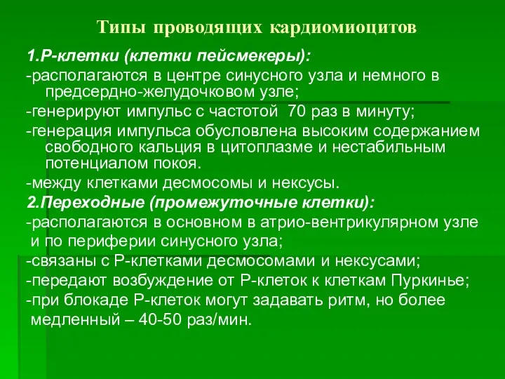 Типы проводящих кардиомиоцитов 1.Р-клетки (клетки пейсмекеры): -располагаются в центре синусного узла