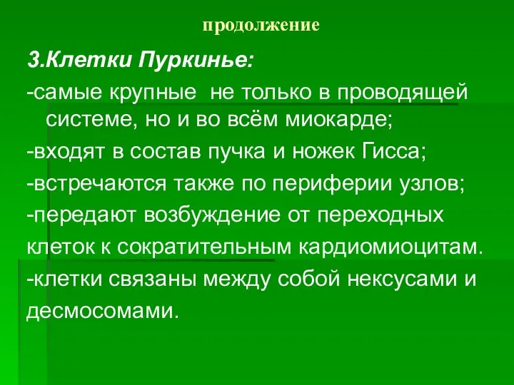 продолжение 3.Клетки Пуркинье: -самые крупные не только в проводящей системе, но