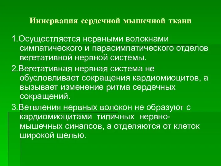 Иннервация сердечной мышечной ткани 1.Осущестляется нервными волокнами симпатического и парасимпатического отделов