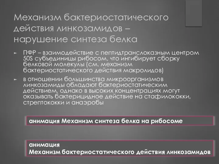 Механизм бактериостатического действия линкозамидов – нарушение синтеза белка ПФР – взаимодействие