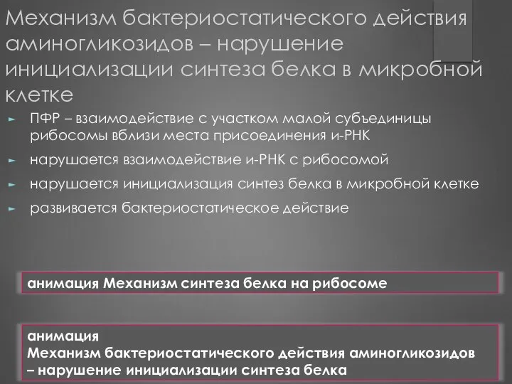 Механизм бактериостатического действия аминогликозидов – нарушение инициализации синтеза белка в микробной