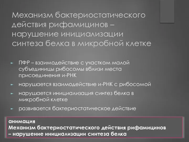 Механизм бактериостатического действия рифамицинов – нарушение инициализации синтеза белка в микробной