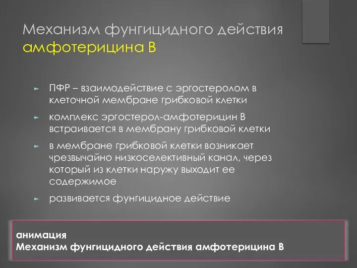 Механизм фунгицидного действия амфотерицина B ПФР – взаимодействие с эргостеролом в