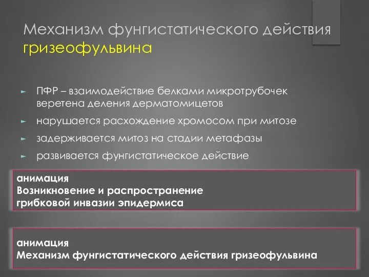 Механизм фунгистатического действия гризеофульвина ПФР – взаимодействие белками микротрубочек веретена деления