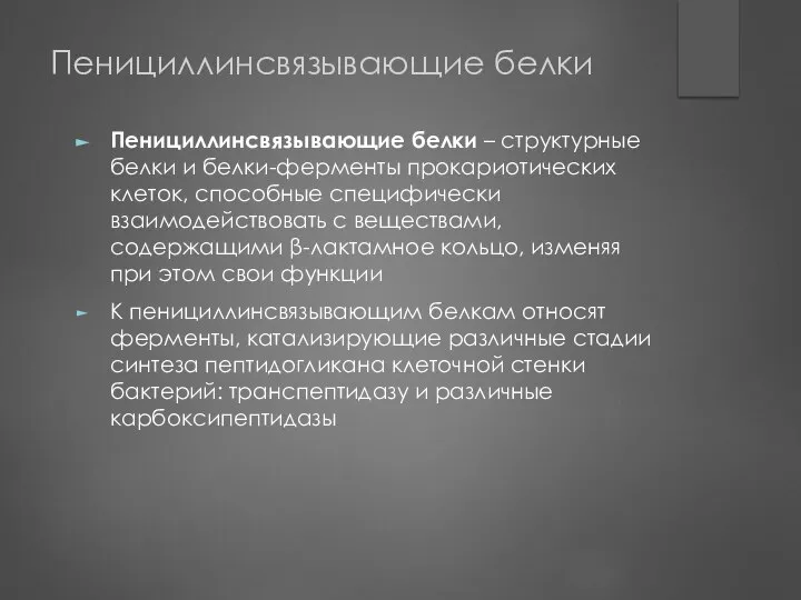 Пенициллинсвязывающие белки Пенициллинсвязывающие белки – структурные белки и белки-ферменты прокариотических клеток,